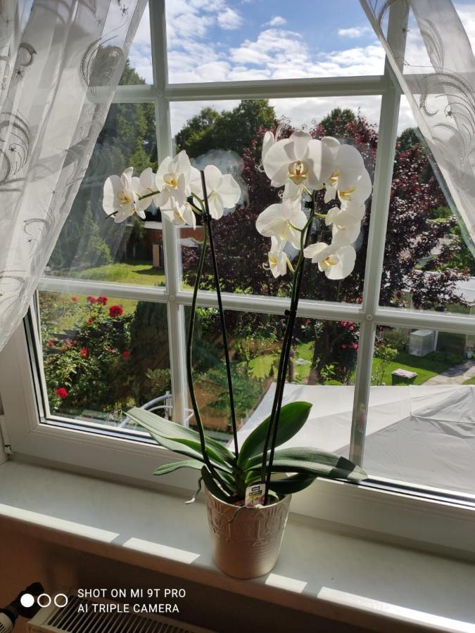 Blumen Apartment Hamborg Eksteriør billede